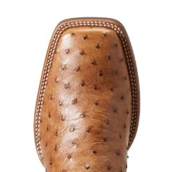 Ariat Men`s Quantum Primo Ranger FQ Ostrich 11` Beam Brown Top Square Toe Boots -Ariat Sales Shop 10040281 4