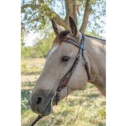 Circle Y Saddlery Dark Flash Arizona Flower Browband Headstall -Ariat Sales Shop 1008 12 SC 3