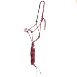 Classic Econo Halter And 9-Foot Leadrope 13 Classic Econo Halter And 9-Foot Leadrope -Ariat Sales Shop 241613 789091