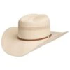 Stetson Hats 100X Griffin 4 1/4in. Brim Hat