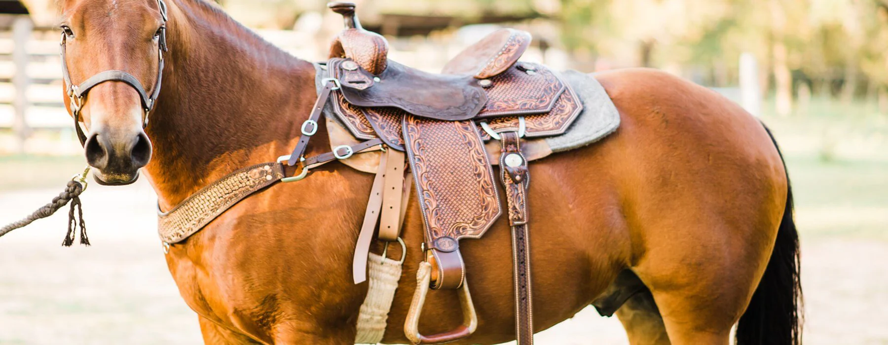 Ariat Sales Shop -Ariat Sales Shop banner539